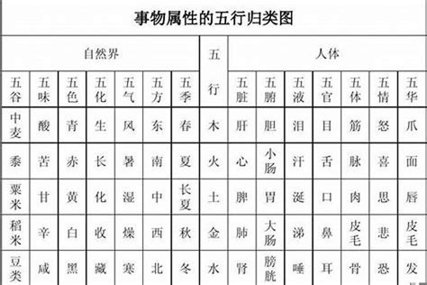 正字五行|正字的五行属性